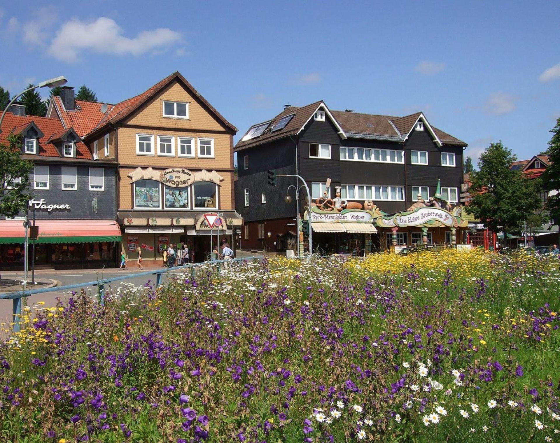 Ferienresidenz An Der Bode, Wohnung 1 Braunlage Esterno foto